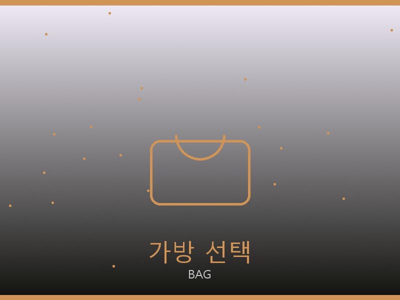 로저 비비에 레플리카 사이트 가방 선택 가이드