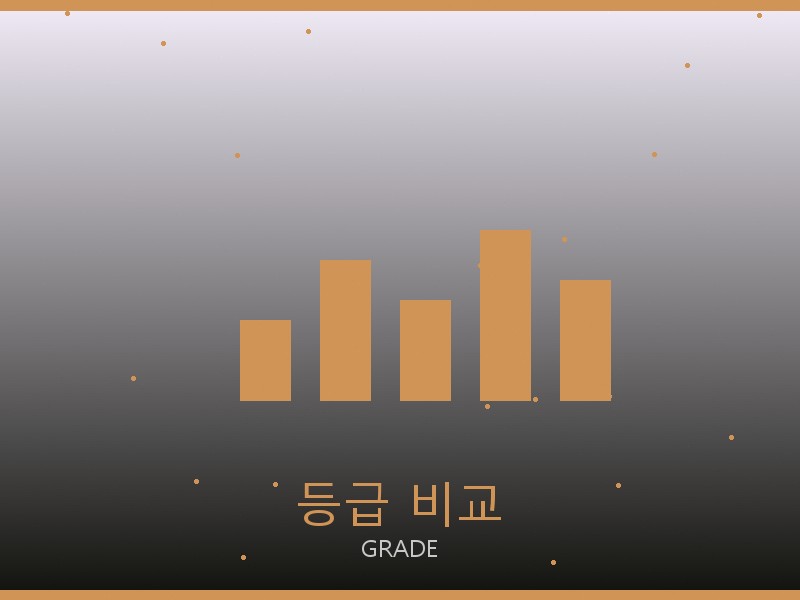 로저 비비에 레플리카 사이트 등급 기준 비교