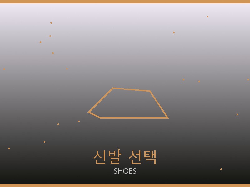 로저 비비에 레플리카 사이트 신발 선택 가이드